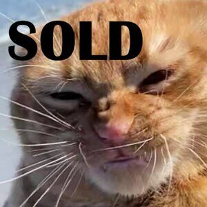 Metal hooks for peg boards